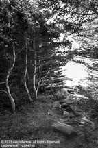 Monhegan Island | Student Photos