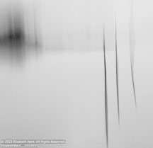 Outer Banks Fall | Student Photos