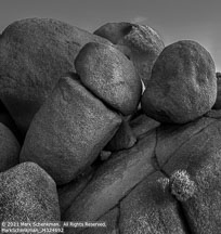 Joshua Tree | Student Photos