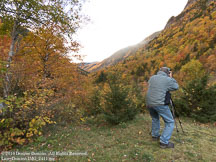New England Fall | Student Candids