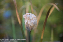 New England Fall | Student Photos