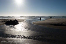 Oregon Coast | Student Candids