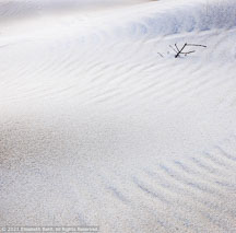 Outer Banks Spring | Student Photos