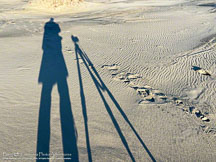 Outer Banks Winter | Student Candids