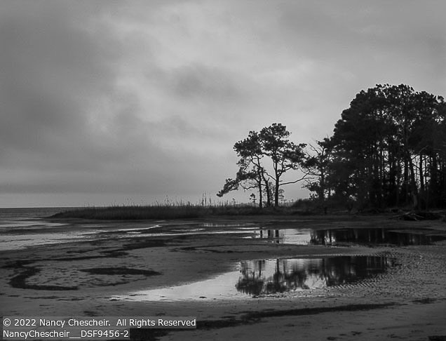 Outer Banks Winter | Student Photos