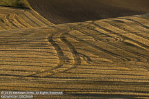 Palouse | Student Photos