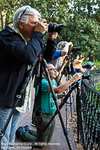 Savannah | Student Candids